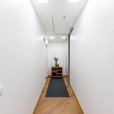 Old Town Stylish Aludariu 公寓 维尔纽斯